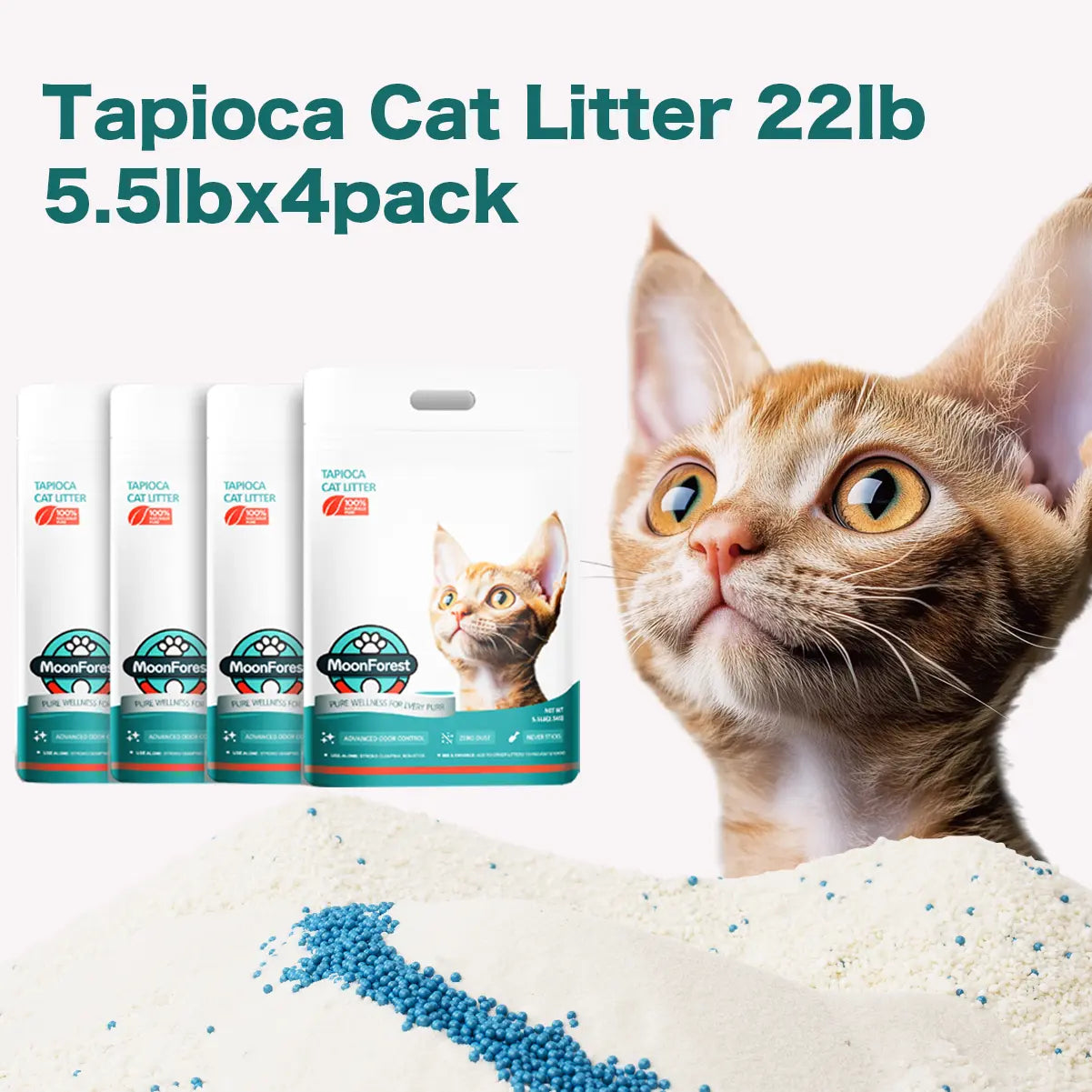 Moonforest Tapioca Cat Litter, Fast Clumping Kitty Litter with Low Dust Formula & Odor Control for Multi-Cat Homes #Summervibes #Petlovers