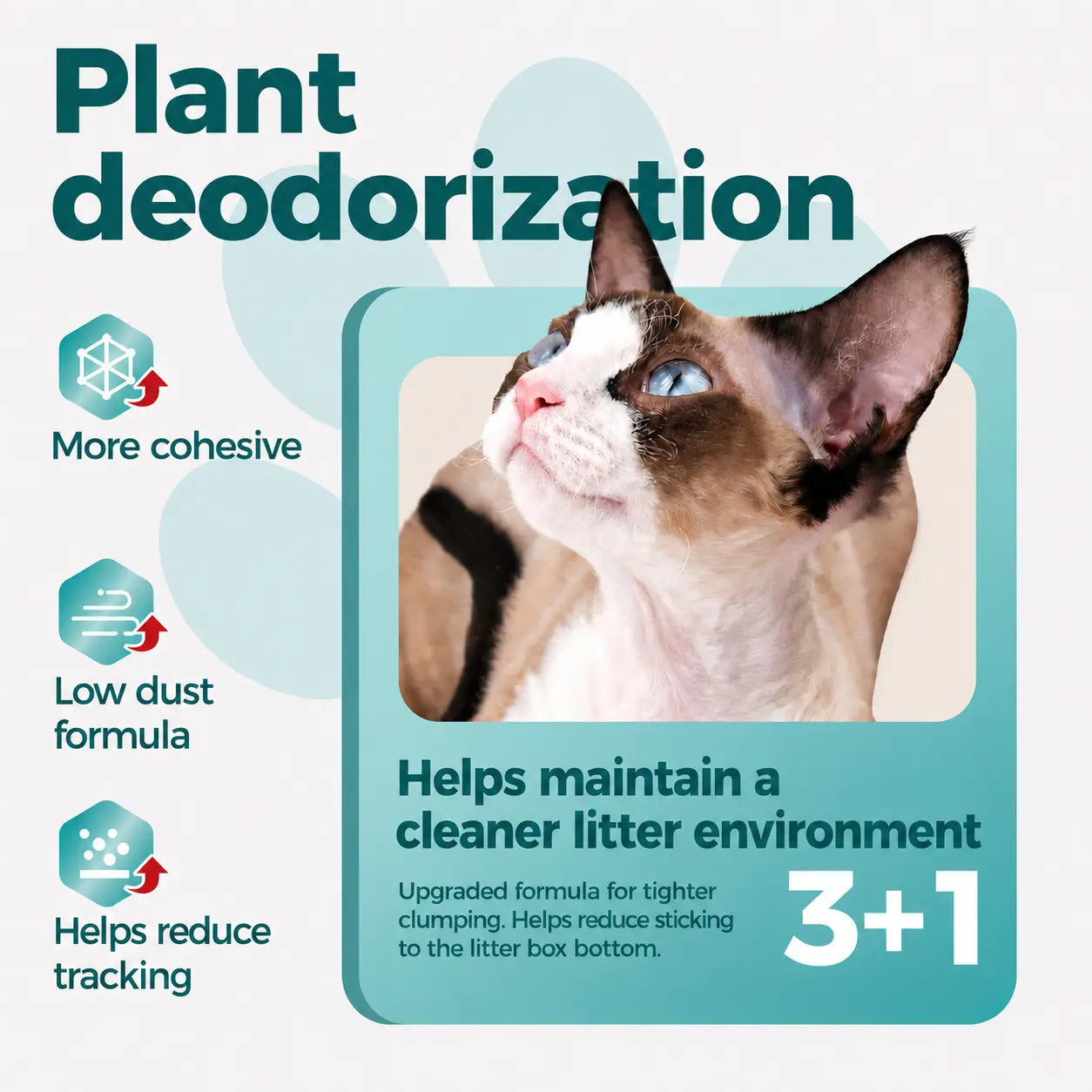 Moonforest Tapioca Cat Litter, Fast Clumping Kitty Litter with Low Dust Formula & Odor Control for Multi-Cat Homes #Summervibes #Petlovers