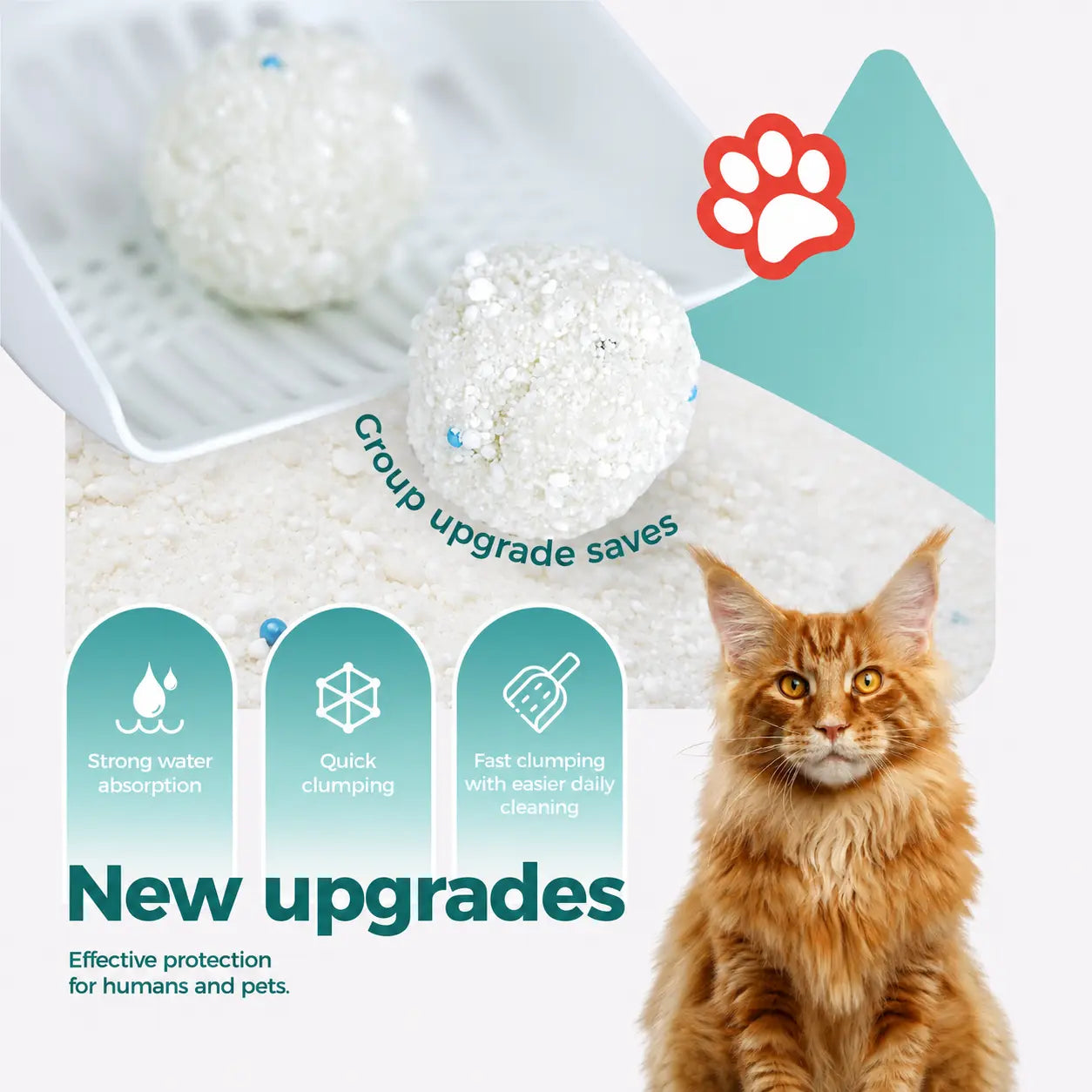 Moonforest Tapioca Cat Litter, Fast Clumping Kitty Litter with Low Dust Formula & Odor Control for Multi-Cat Homes #Summervibes #Petlovers