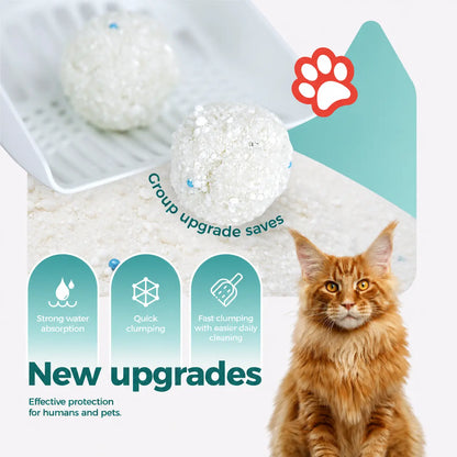 Moonforest Tapioca Cat Litter, Fast Clumping Kitty Litter with Low Dust Formula & Odor Control for Multi-Cat Homes #Summervibes #Petlovers