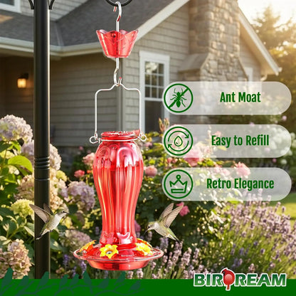 Birdream Glass Hummingbird Feeder for Outdoors, 18Oz Hanging Hummingbird Feeder with 5 Feeding Ports & Built-In Ant Moat, for Garden Patio Backyard, Gifts for Women Mom, All Red Tiktokshopspringglowup Bird Lover Outdoorfun